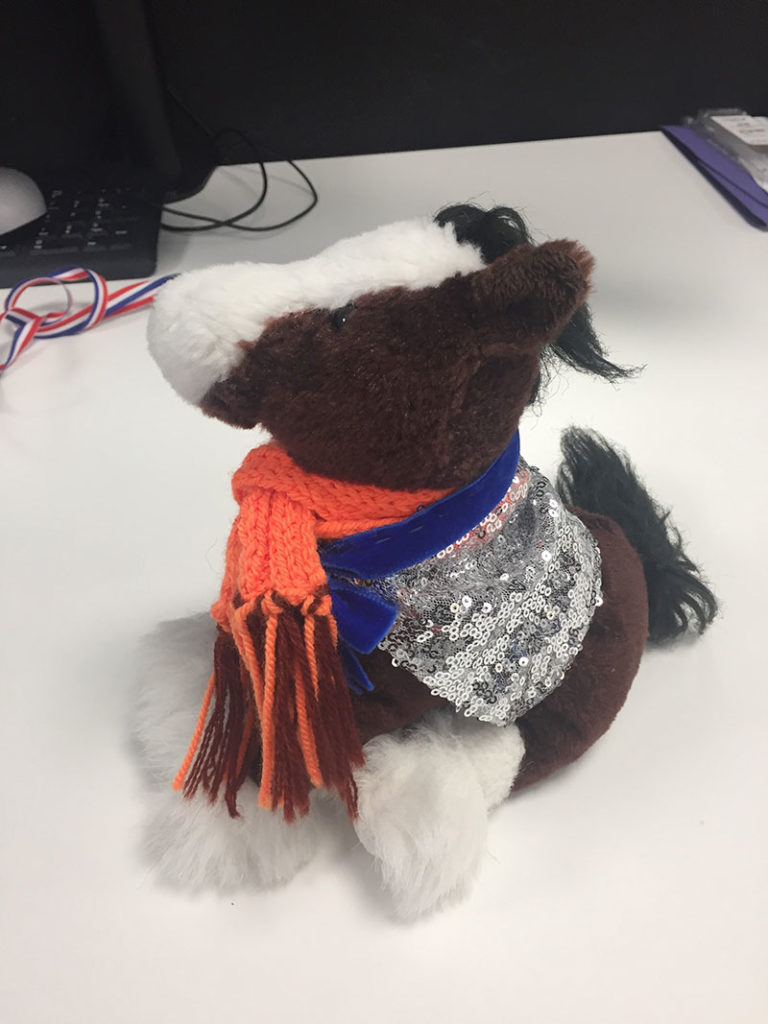 resolve horse new cape